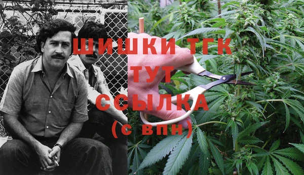 не бодяженный Ростов