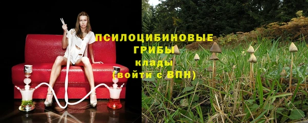 экстази Пролетарск